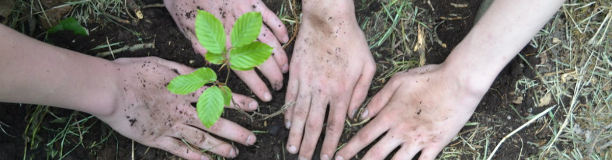 Plant Trees USA 2030 Net Zero Challenge