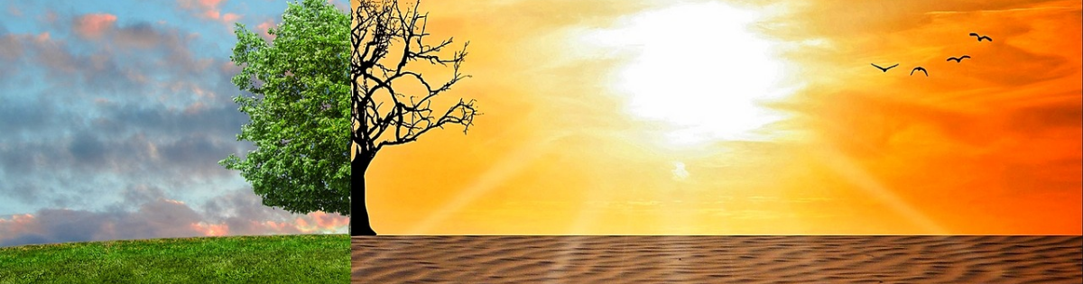 Spread awareness climate change